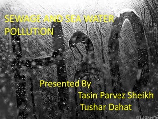 SEWAGE AND SEA WATER
POLLUTION



      Presented By
               Tasin Parvez Sheikh
                Tushar Dahat
 