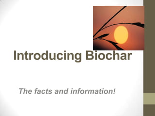 Introducing Biochar

The facts and information!
 