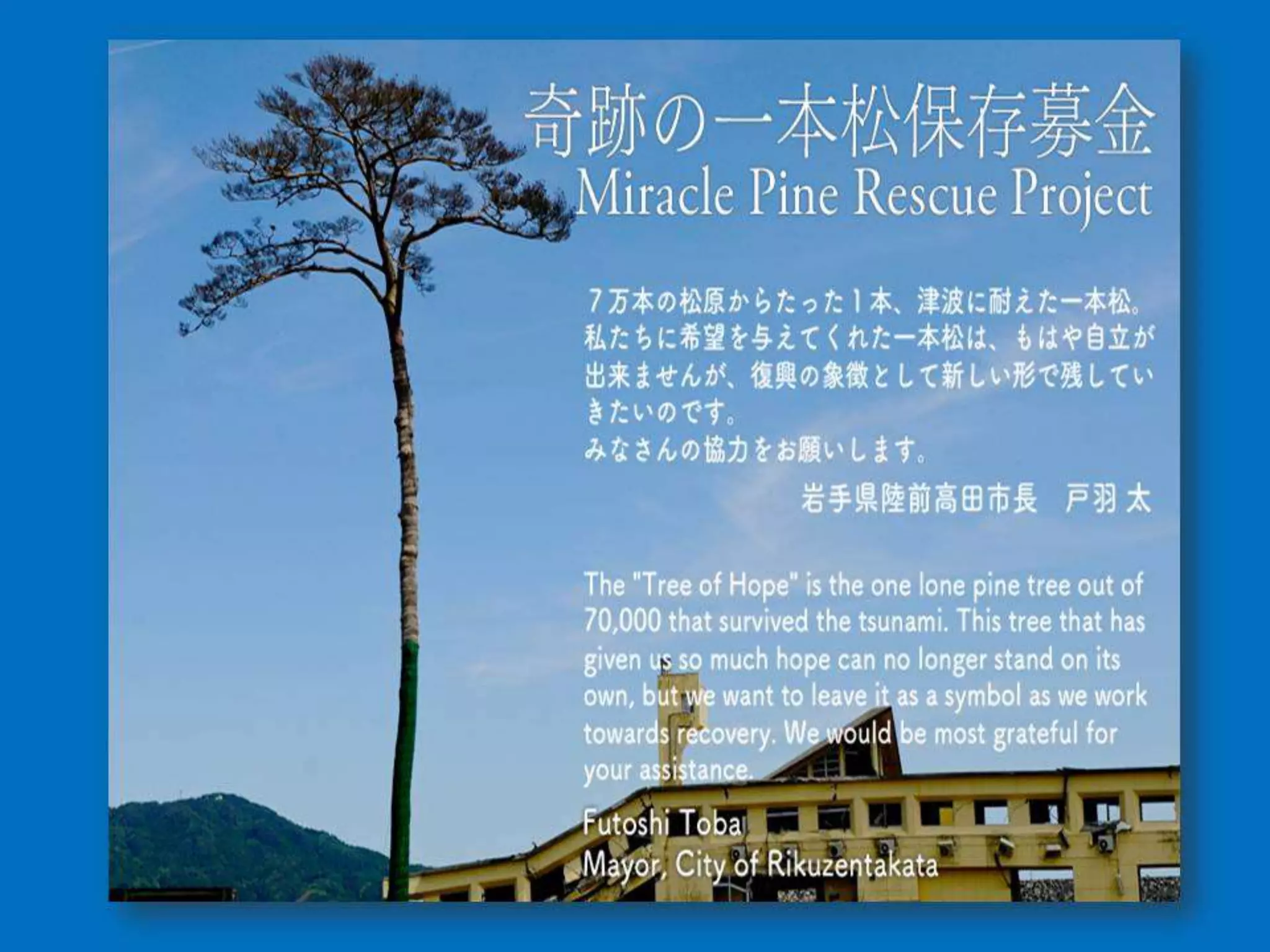 สัพเพเหระ