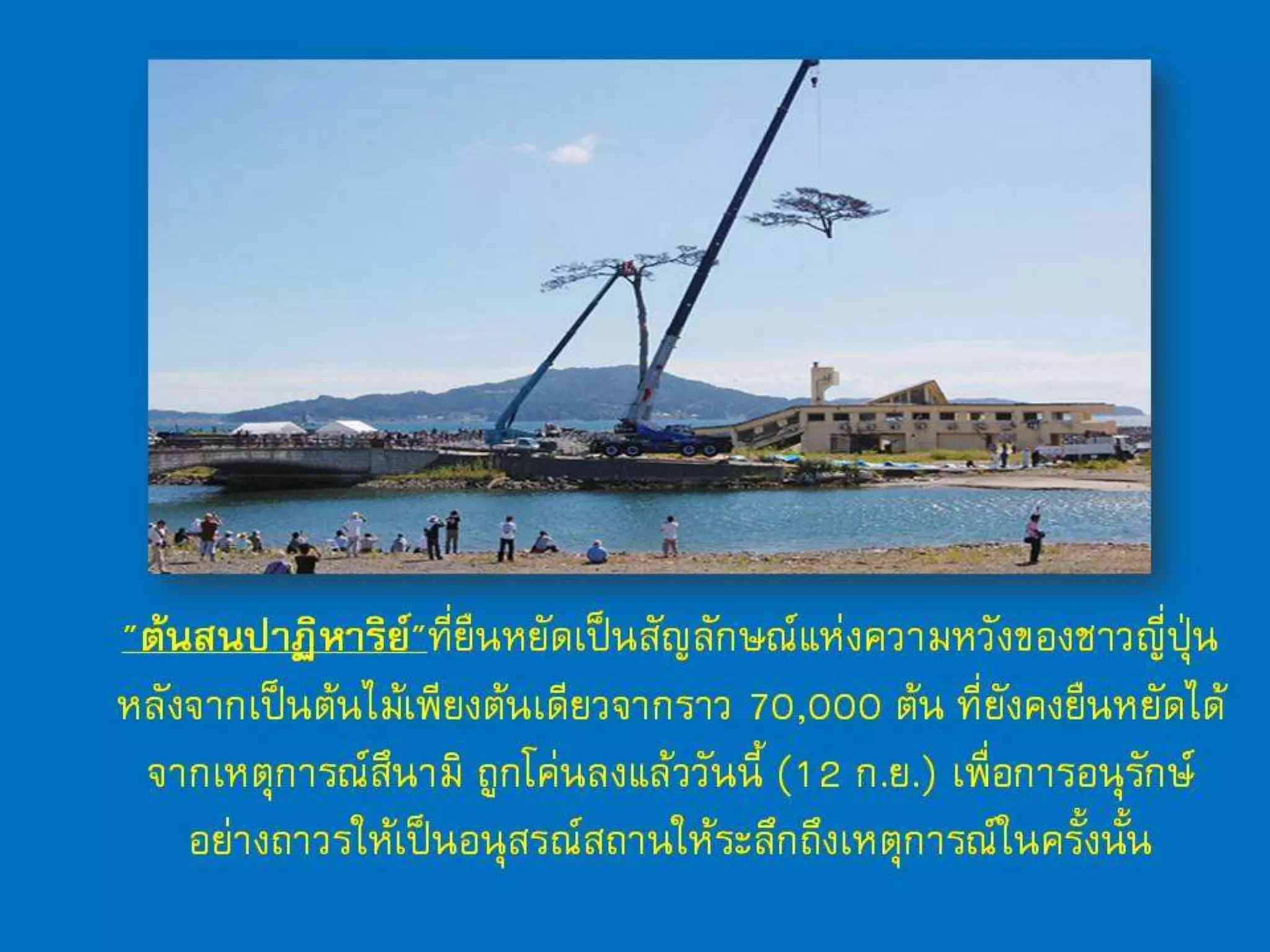 สัพเพเหระ