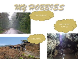 TRAVELLING



               EXPLORING
                 CAVES




TREKKING
 