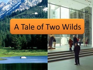 A Tale of Two Wilds
 