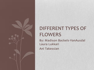 DIFFERENT TYPES OF
FLOWERS
By: Madison Backels-VanAusdal
Laura Lukkari
Ani Takessian
 