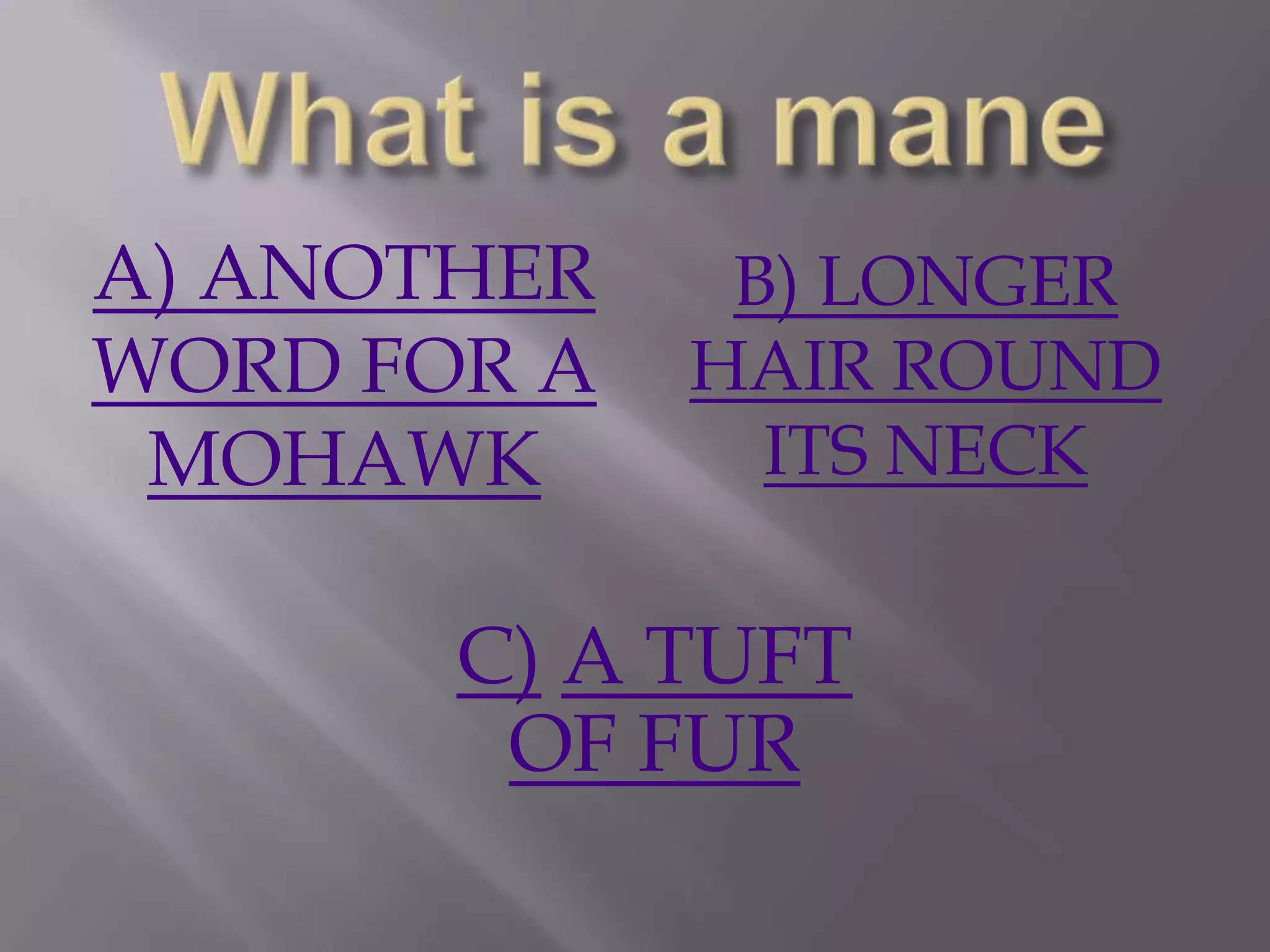A) ANOTHER    B) LONGER
WORD FOR A   HAIR ROUND
 MOHAWK        ITS NECK

       C) A TUFT
        OF FUR
 