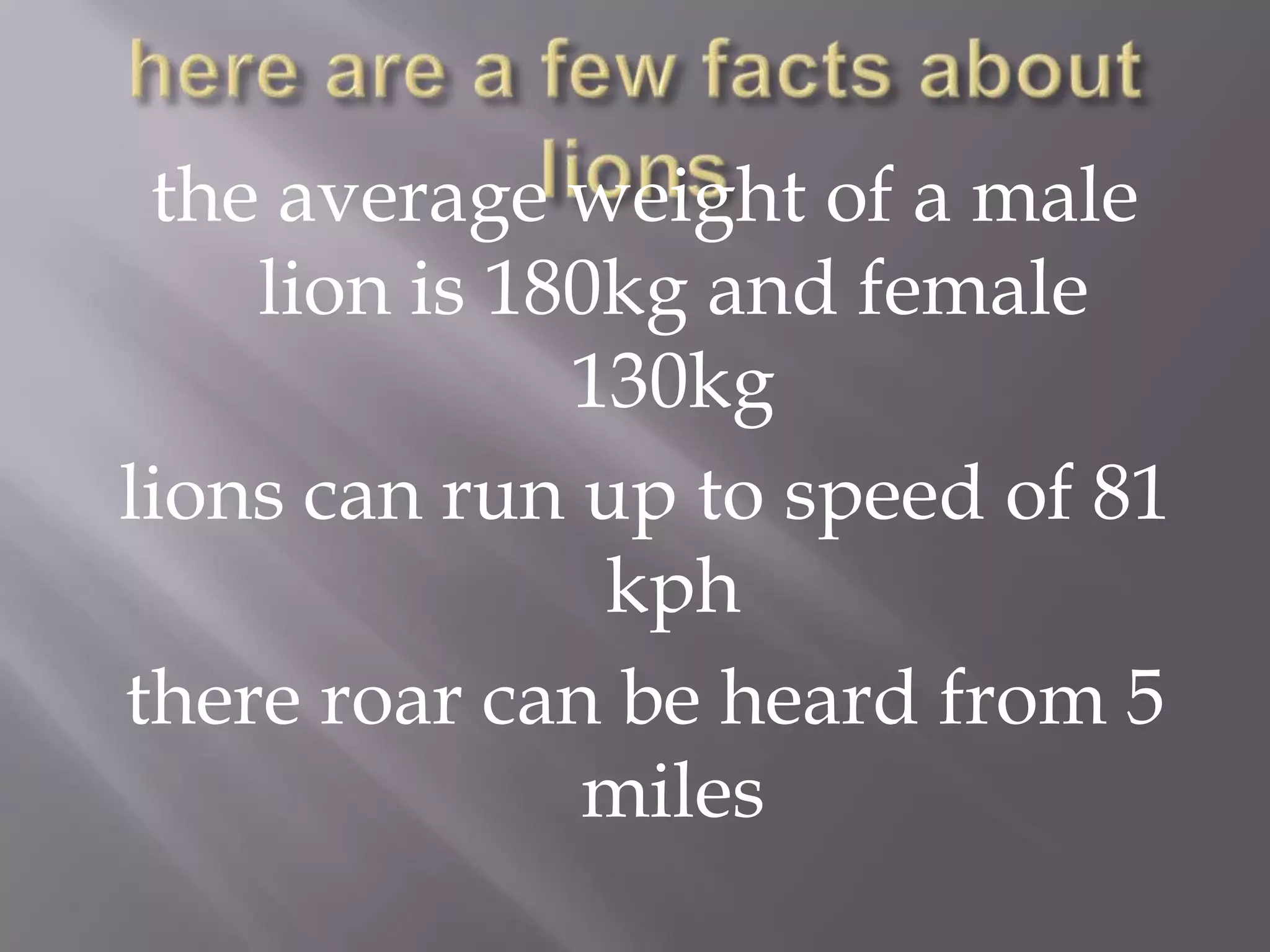the average weight of a male
    lion is 180kg and female
              130kg
lions can run up to speed of 81
               kph
there roar can be heard from 5
              miles
 