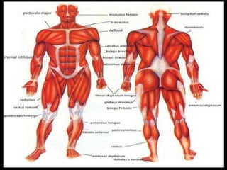 Nicholas Marnitz 4 Life Games