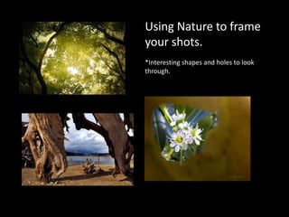 Using Nature to frame
your shots.
*Interesting shapes and holes to look
through.
 