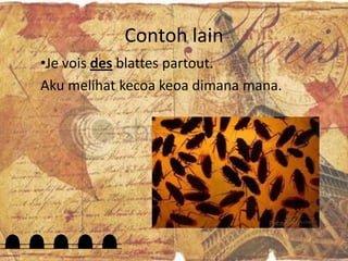Contoh lain
•Je vois des blattes partout.
Aku melihat kecoa keoa dimana mana.
 