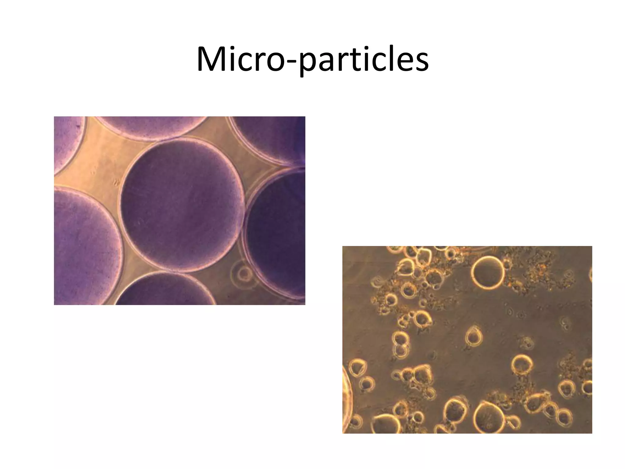 Micro-particles
 