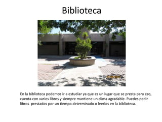 Biblioteca




En la biblioteca podemos ir a estudiar ya que es un lugar que se presta para eso,
cuenta con varios libros y siempre mantiene un clima agradable. Puedes pedir
libros prestados por un tiempo determinado o leerlos en la biblioteca.
 