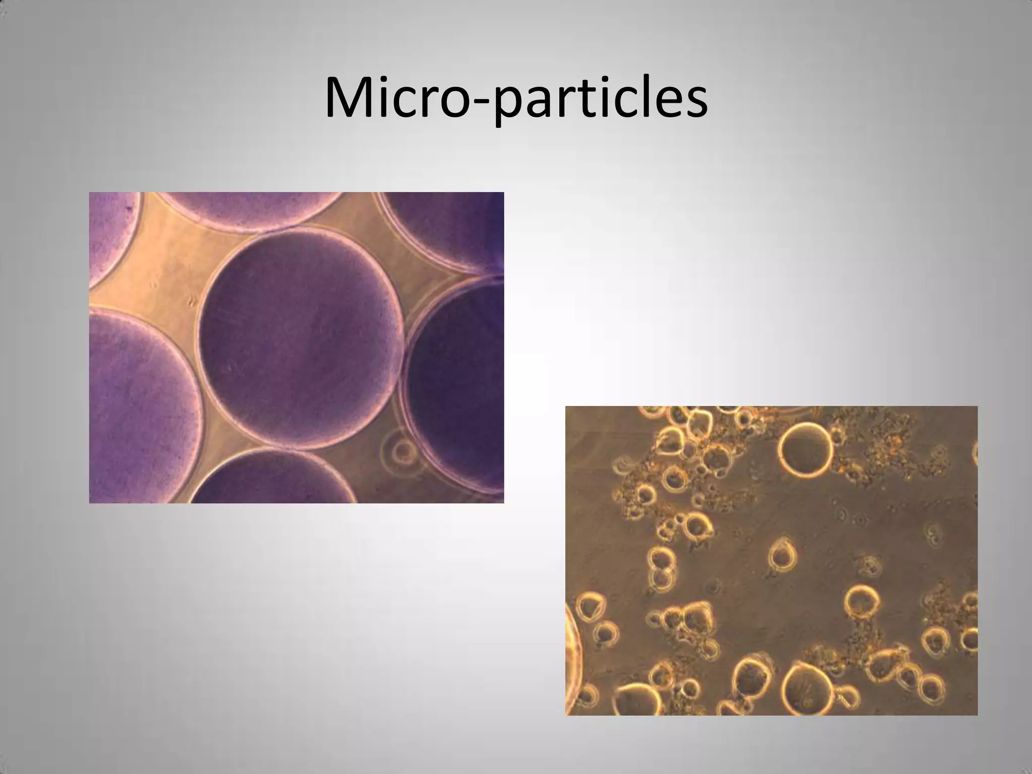 Micro-particles
 