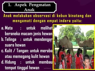 1. Aspek Pengmatan
           Anak
 Anak melakukan observasi di kebun binatang dan
      mengamati dengan empat indera yaitu:
a. Mata      : untuk melihat
   beraneka macam jenis hewan
b. Telinga : untuk mendengar
   suara hewan
c. Kulit / Tangan: untuk meraba
   atau memegang kulit hewan
d. Hidung : untuk membau
   tempat tinggal hewan
 