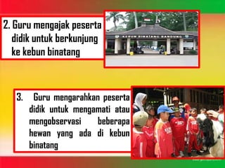 2. Guru mengajak peserta
   didik untuk berkunjung
   ke kebun binatang



   3.    Guru mengarahkan peserta
        didik untuk mengamati atau
        mengobservasi    beberapa
        hewan yang ada di kebun
        binatang
 