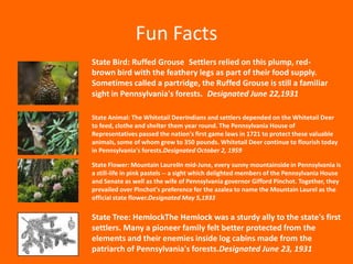 Fun Facts
State Bird: Ruffed Grouse Settlers relied on this plump, red-
brown bird with the feathery legs as part of their food supply.
Sometimes called a partridge, the Ruffed Grouse is still a familiar
sight in Pennsylvania's forests. Designated June 22,1931

State Animal: The Whitetail DeerIndians and settlers depended on the Whitetail Deer
to feed, clothe and shelter them year round. The Pennsylvania House of
Representatives passed the nation's first game laws in 1721 to protect these valuable
animals, some of whom grew to 350 pounds. Whitetail Deer continue to flourish today
in Pennsylvania's forests.Designated October 2, 1959

State Flower: Mountain LaurelIn mid-June, every sunny mountainside in Pennsylvania is
a still-life in pink pastels -- a sight which delighted members of the Pennsylvania House
and Senate as well as the wife of Pennsylvania governor Gifford Pinchot. Together, they
prevailed over Pinchot's preference for the azalea to name the Mountain Laurel as the
official state flower.Designated May 5,1933

State Tree: HemlockThe Hemlock was a sturdy ally to the state's first
settlers. Many a pioneer family felt better protected from the
elements and their enemies inside log cabins made from the
patriarch of Pennsylvania's forests.Designated June 23, 1931
 