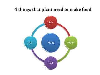 Sun




Air   Plant   Water




      Soil
 