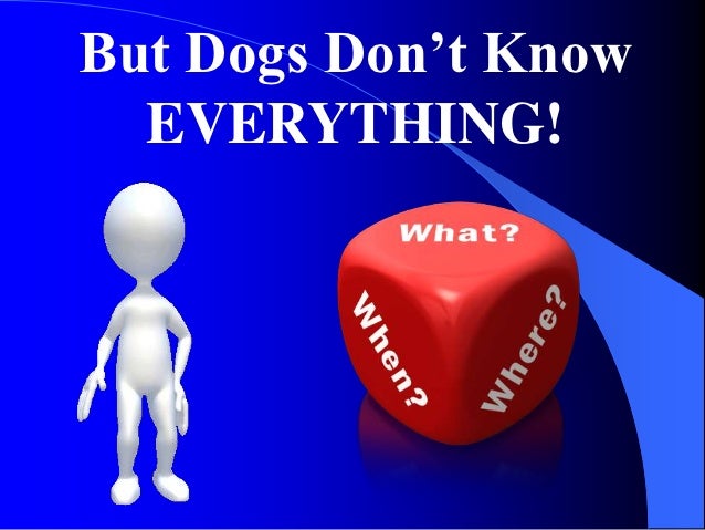 Increase Your Sales With Lessons From Our Pups Slide 11