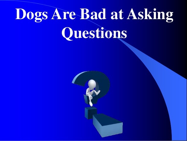 Increase Your Sales With Lessons From Our Pups Slide 12