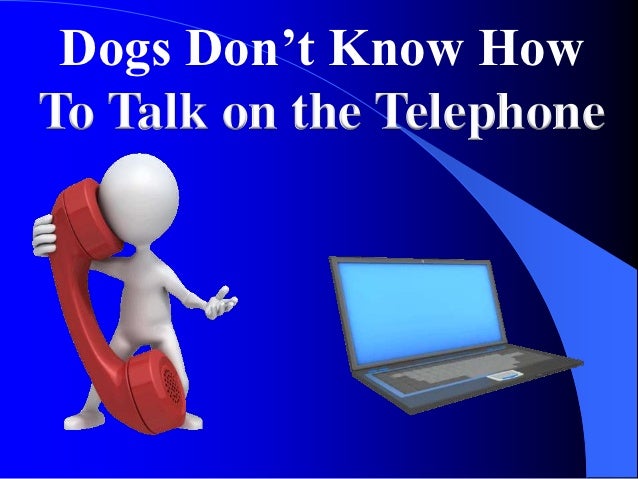 Increase Your Sales With Lessons From Our Pups Slide 14