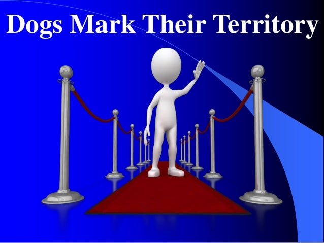 Increase Your Sales With Lessons From Our Pups Slide 3