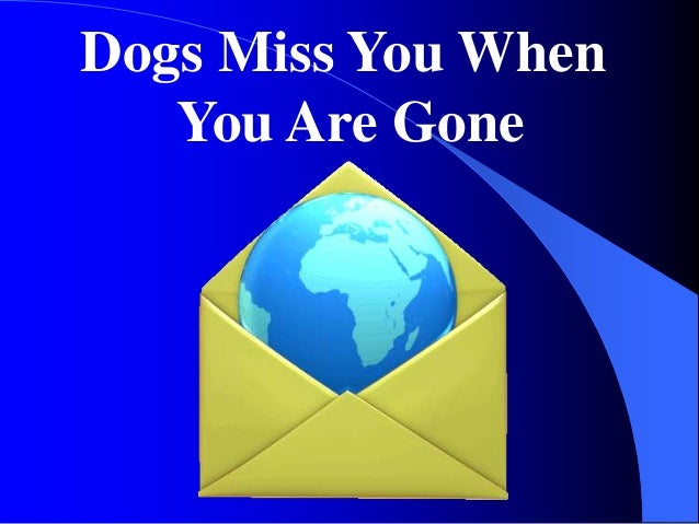 Increase Your Sales With Lessons From Our Pups Slide 5