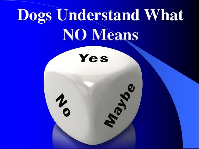 Increase Your Sales With Lessons From Our Pups Slide 9