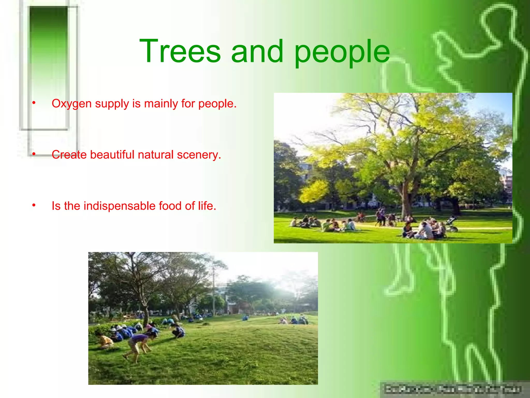 Trees and people
• Oxygen supply is mainly for people.
• Create beautiful natural scenery.
• Is the indispensable food of life.