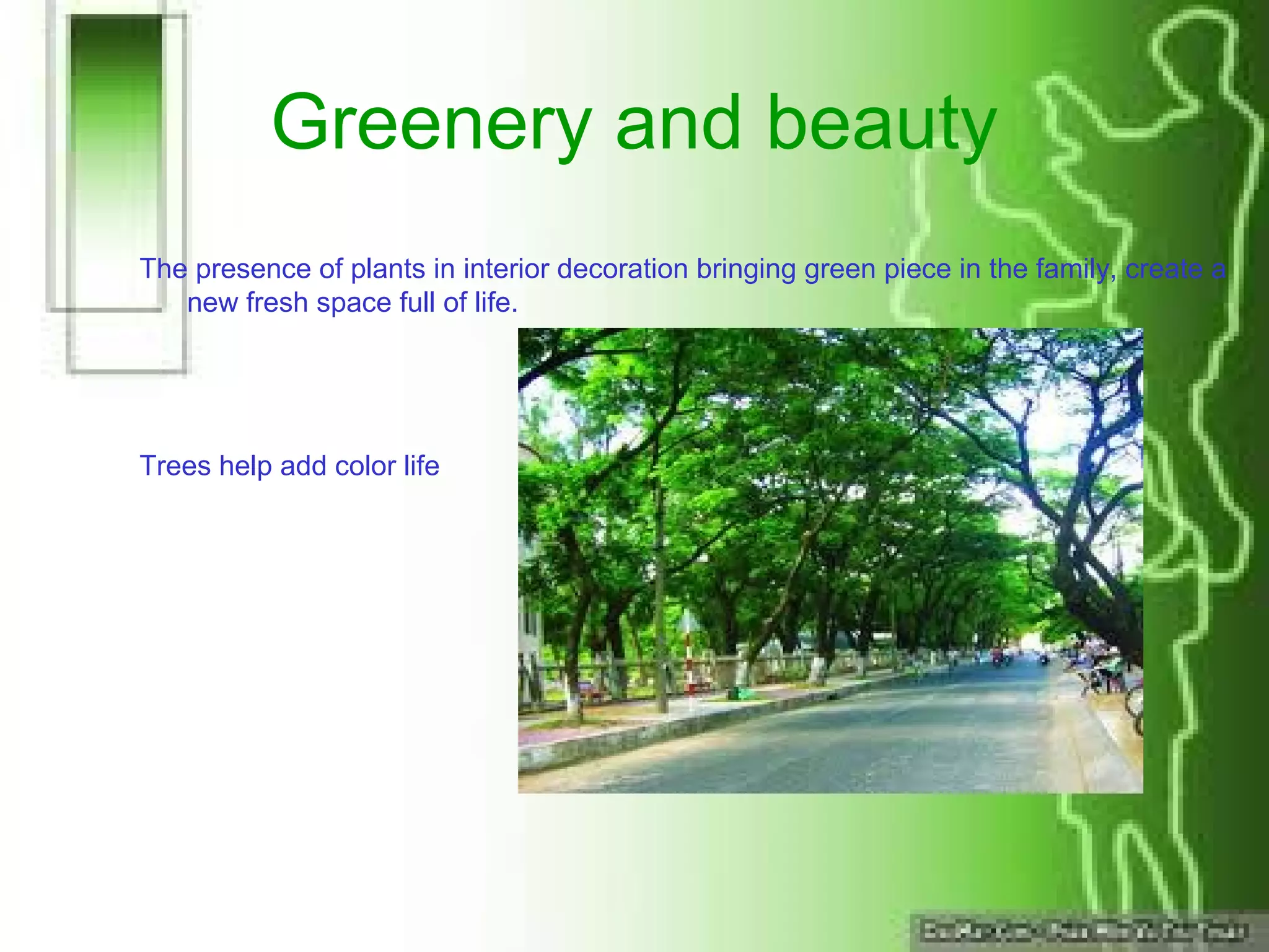 Greenery and beauty
The presence of plants in interior decoration bringing green piece in the family, create a
new fresh space full of life.
Trees help add color life