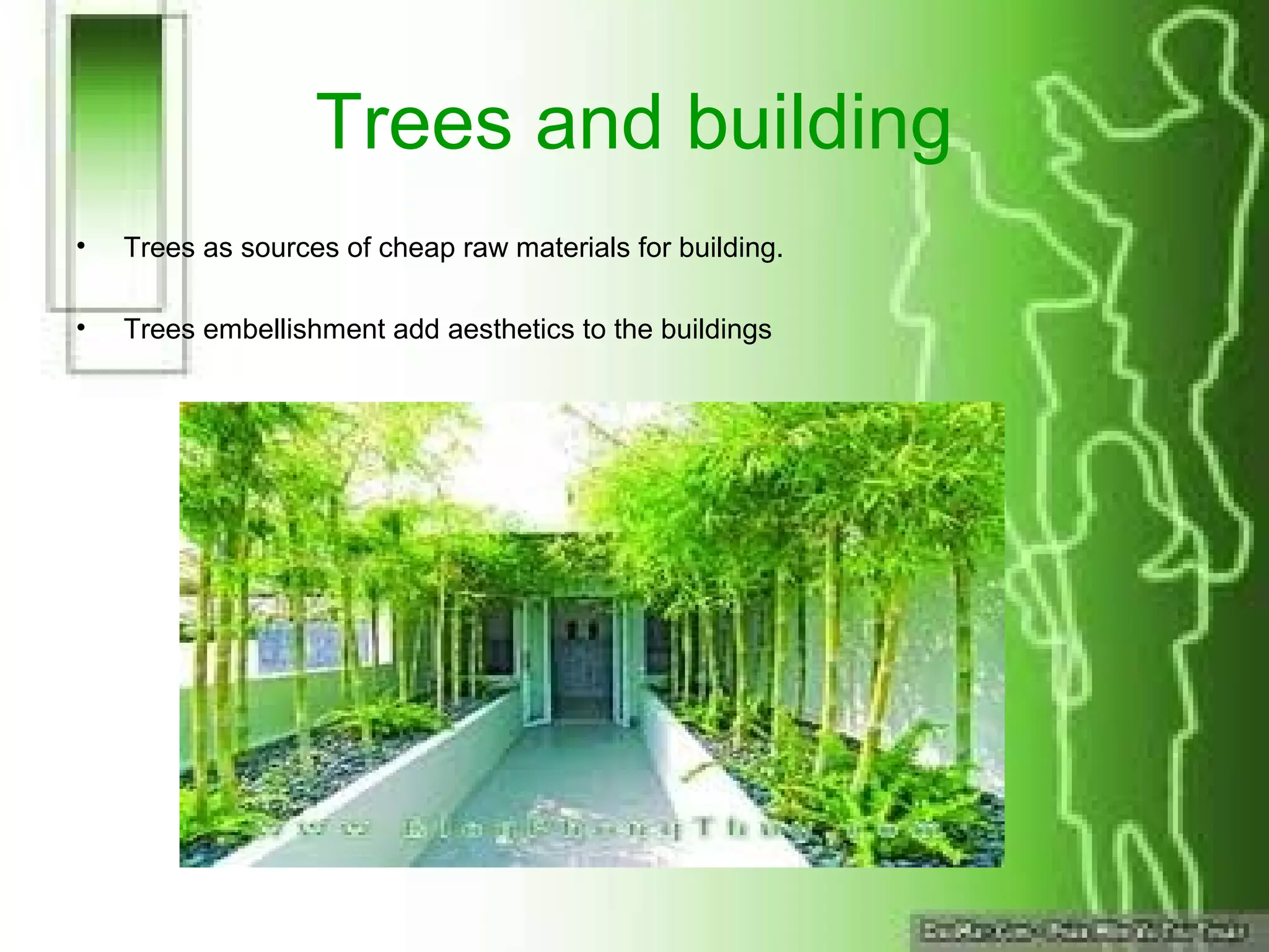 Trees and building
• Trees as sources of cheap raw materials for building.
• Trees embellishment add aesthetics to the buildings