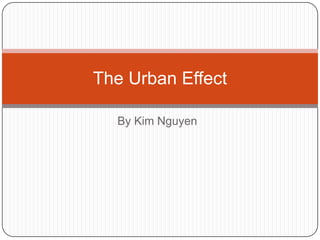 The Urban Effect

  By Kim Nguyen
 