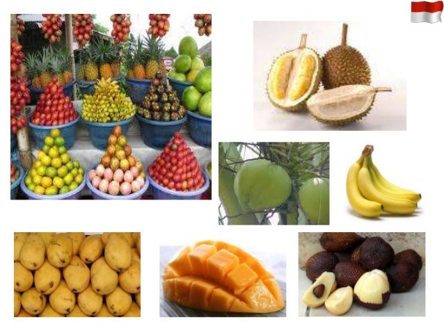 presentation indonesia (japanese) edited from others