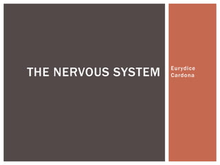THE NERVOUS SYSTEM   Eurydice
                     Cardona
 
