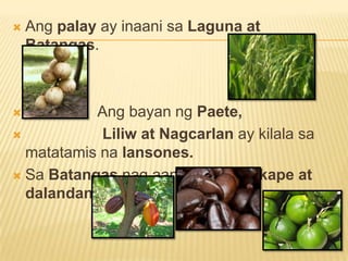    Ang palay ay inaani sa Laguna at
    Batangas.



          Ang bayan ng Paete,
           Liliw at Nagcarlan ay kilala sa
  matatamis na lansones.
 Sa Batangas nag aani ng kakaw,kape at
  dalandan.
 