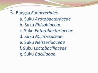 Presentation1 | PPTX