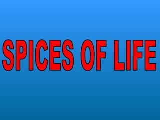 SPICES OF LIFE 