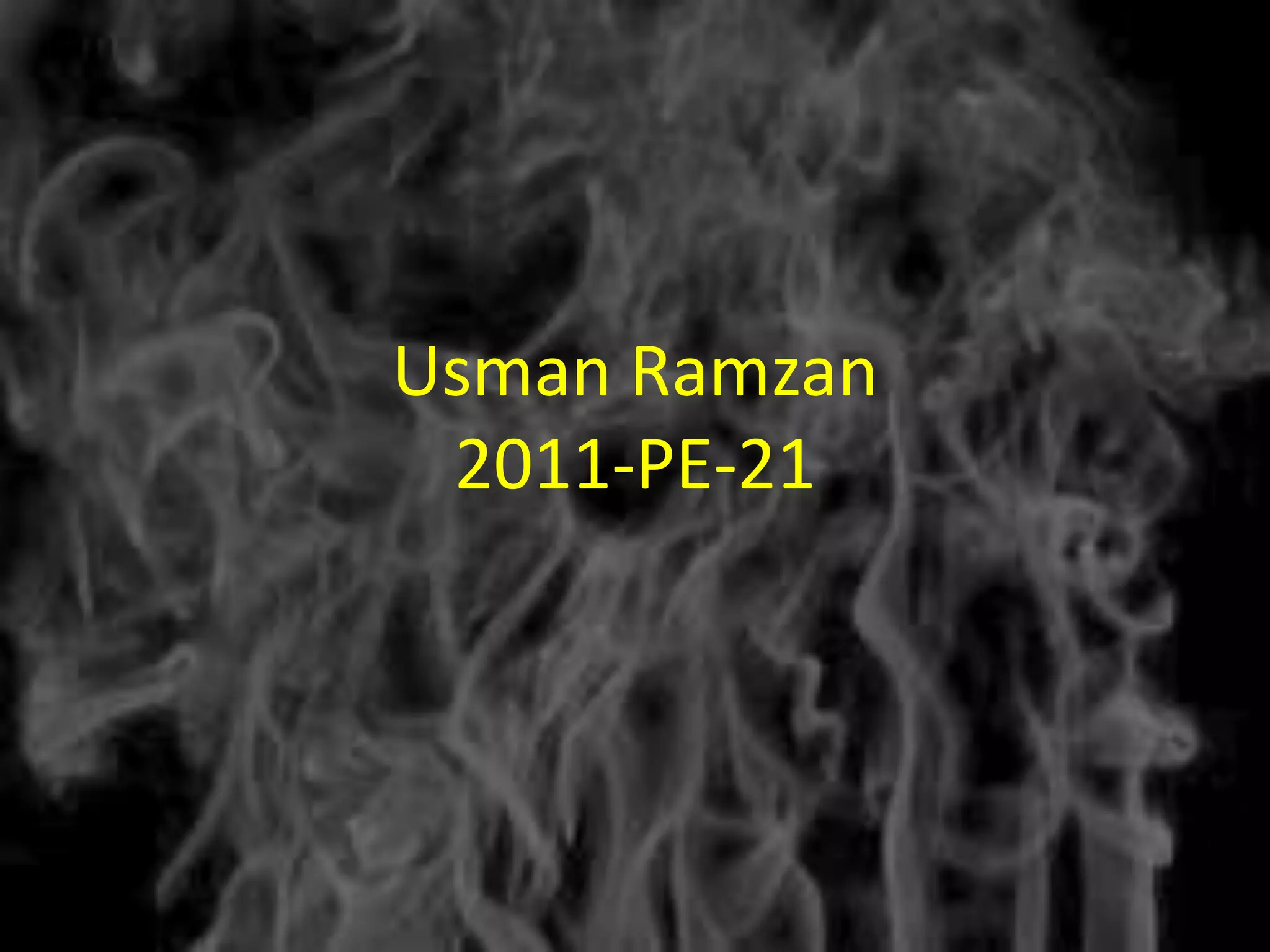 Usman Ramzan
 2011-PE-21
 