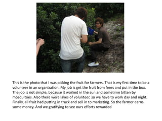 This is the photo that I was picking the fruit for farmers. That is my first time to be a
volunteer in an organization. My job is get the fruit from frees and put in the box.
The job is not simple, because it worked in the sun and sometime bitten by
mosquitoes. Also there were lakes of volunteer, so we have to work day and night.
Finally, all fruit had putting in truck and sell in to marketing. So the farmer earns
some money. And we gratifying to see ours efforts rewarded
 