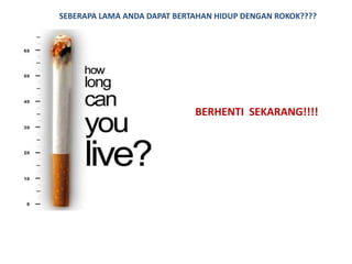 SEBERAPA LAMA ANDA DAPAT BERTAHAN HIDUP DENGAN ROKOK????




                             BERHENTI SEKARANG!!!!
 