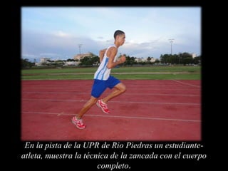En la pista de la UPR de Rio Piedras un estudiante-
atleta, muestra la técnica de la zancada con el cuerpo
                       completo.
 