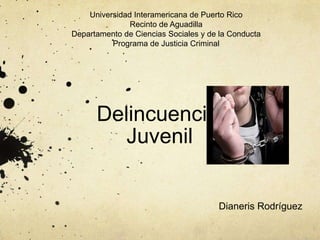 Universidad Interamericana de Puerto Rico
               Recinto de Aguadilla
Departamento de Ciencias Sociales y de la Conducta
          Programa de Justicia Criminal




      Delincuencia
         Juvenil


                                      Dianeris Rodríguez
 
