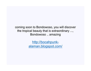 coming soon to Bondowoso, you will discover
 the tropical beauty that is extraordinary ...,
           Bondowoso .. amazing

            http://bocahpunk-
          alaman.blogspot.com/
 