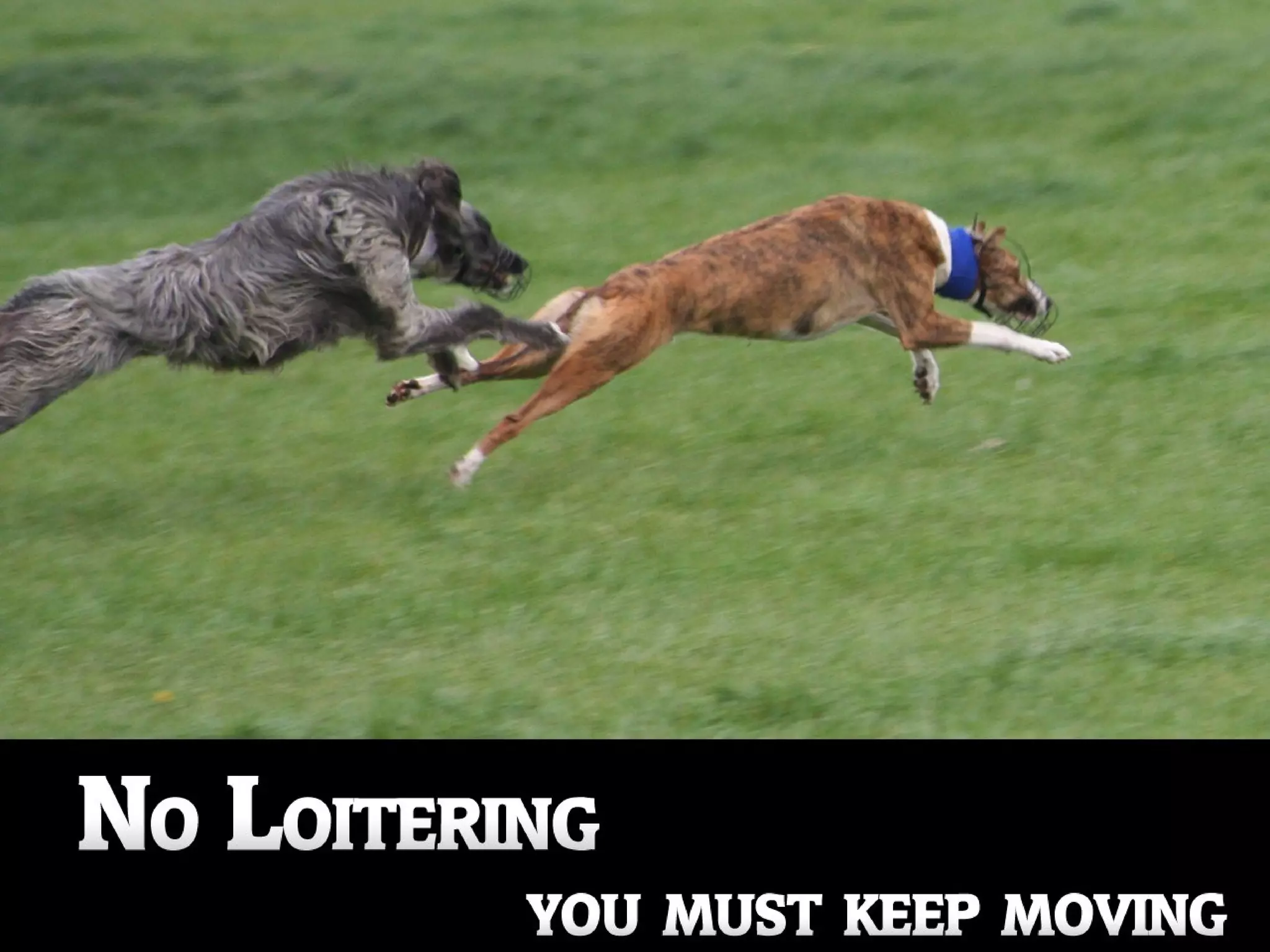 \\Gaia\clients_\ dtelepathy\dtway\Pres  images\Slides\04.png 