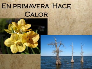 En primavera Hace Calor