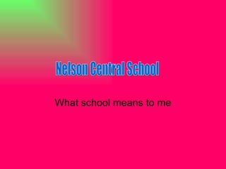 r What school means to me Nelson Central School 