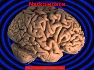 Narkolepsija http:// www.consiglieribalkan.com / 