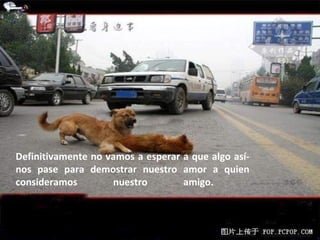 Definitivamente no vamos a esperar a que algo así­ nos pase para demostrar nuestro amor a quien consideramos nuestro amigo.  