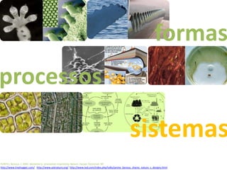 Simbioses Industriais