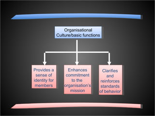 HR: Organisational Culture