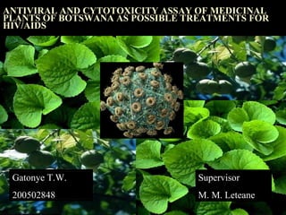 ANTIVIRAL AND CYTOTOXICITY ASSAY OF MEDICINAL PLANTS OF BOTSWANA AS POSSIBLE TREATMENTS FOR HIV/AIDS Supervisor M. M. Leteane Gatonye T.W.  200502848 