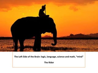 The Left Side of the Brain: logic, language, science and math, “mind” The Rider