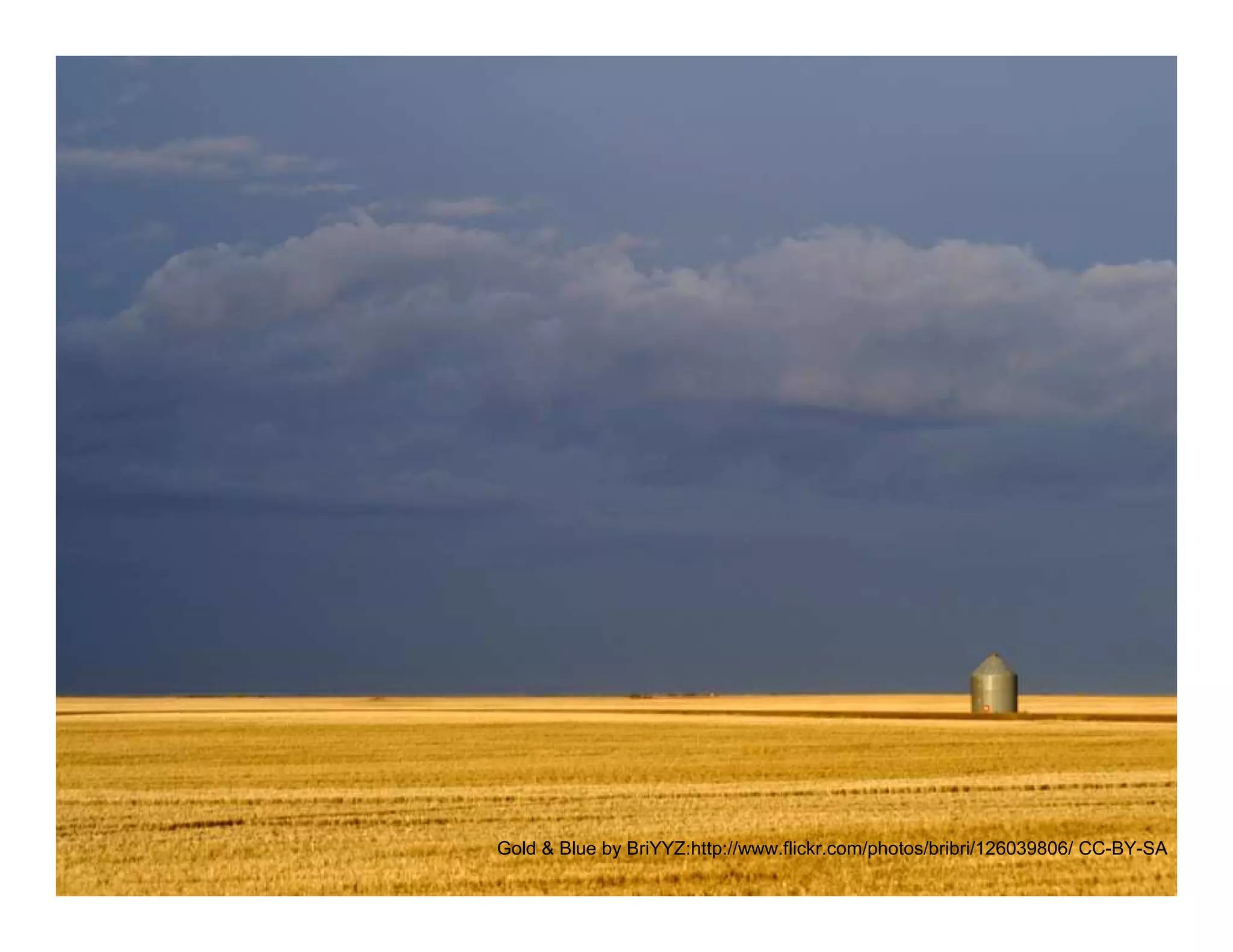 Gold & Blue by BriYYZ:http://www.flickr.com/photos/bribri/126039806/ CC-BY-SA